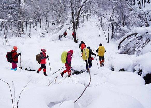 中小学冬季冰雪研学旅行